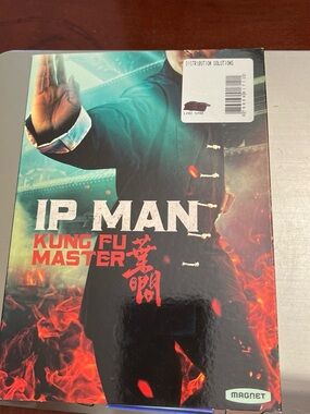Ip Man: Kung Fu Master DVD - Black